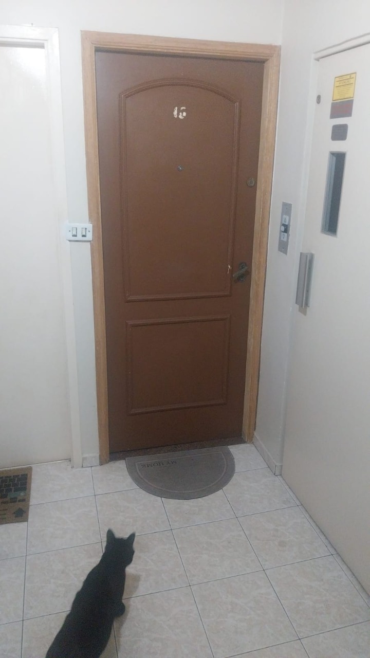 Apartamento, 2 quartos, 50 m² - Foto 5