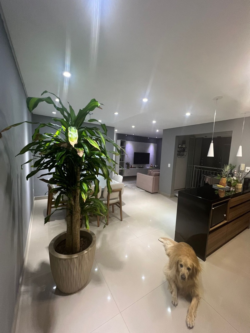 Apartamento, 3 quartos, 64 m² - Foto 19