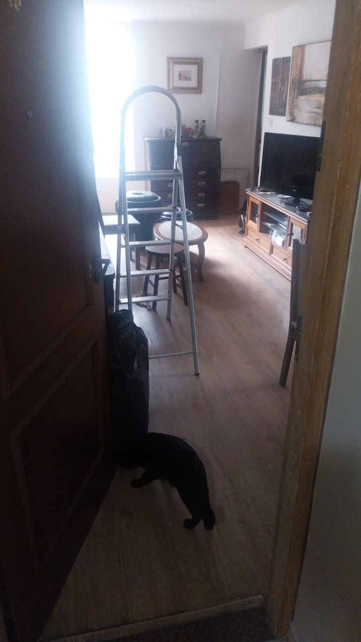 Apartamento, 2 quartos, 50 m² - Foto 3