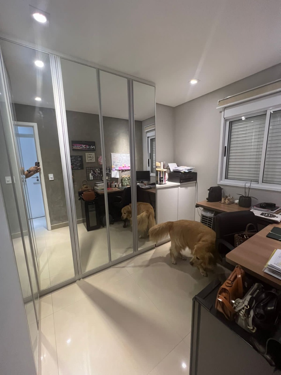 Apartamento, 3 quartos, 64 m² - Foto 14