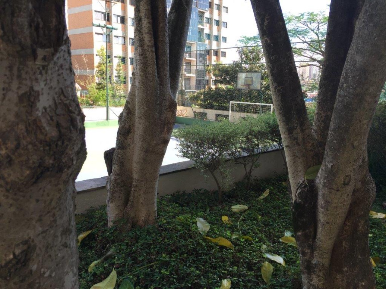 Apartamento, 4 quartos, 590 m² - Foto 90