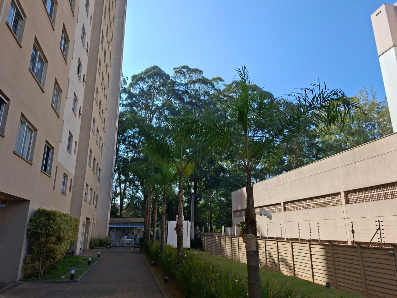 Apartamento, 2 quartos, 42 m² - Foto 28