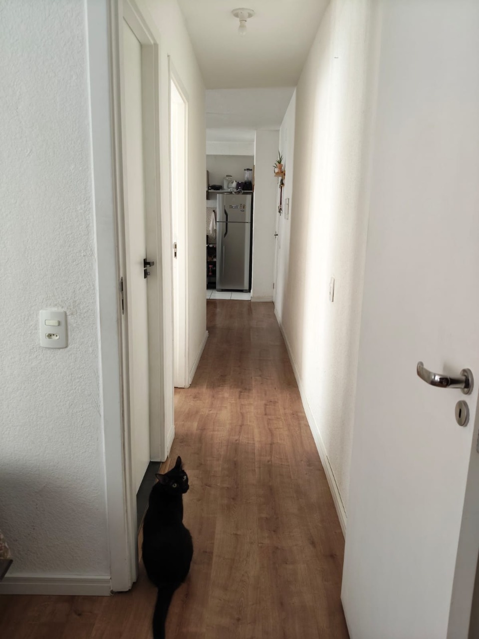 Apartamento, 2 quartos, 41 m² - Foto 6