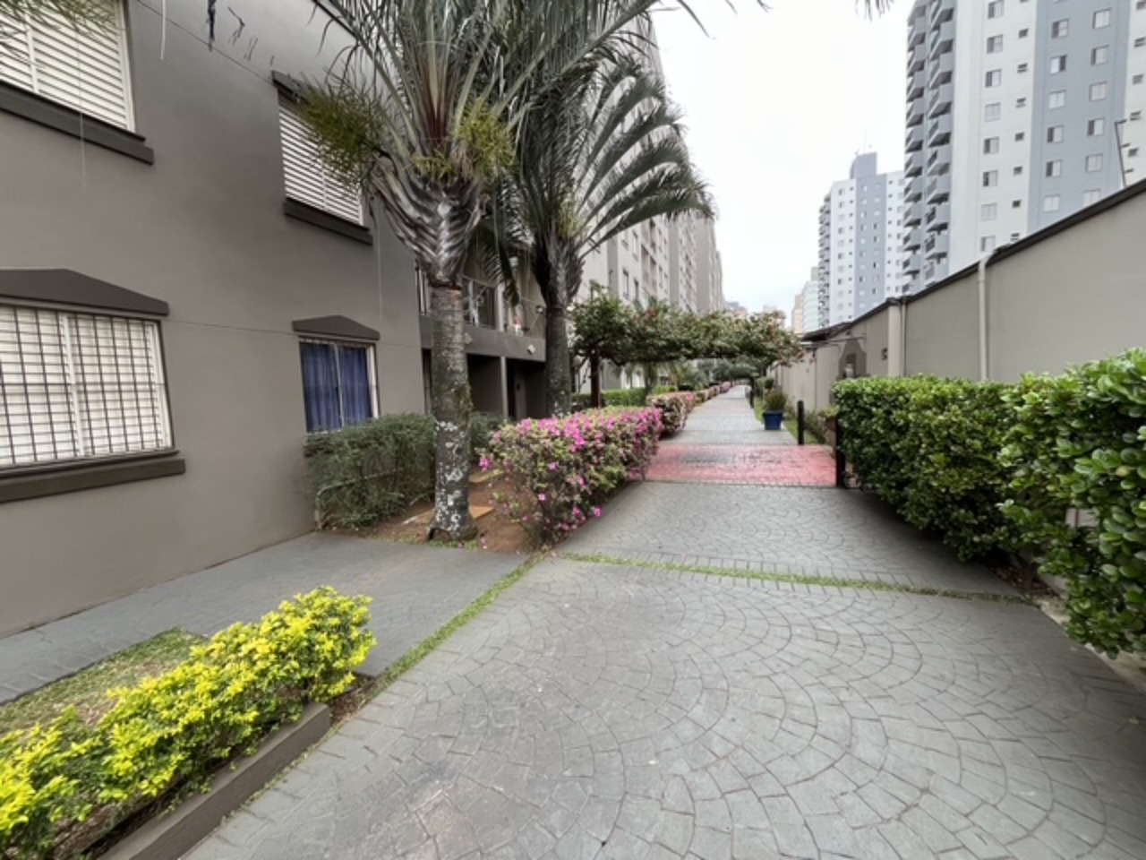 Apartamento, 3 quartos, 63 m² - Foto 17
