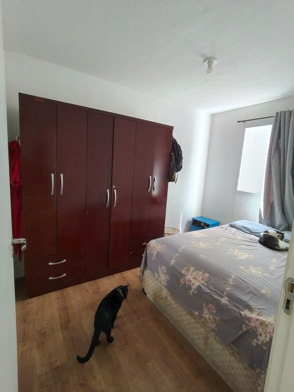 Apartamento, 2 quartos, 41 m² - Foto 8