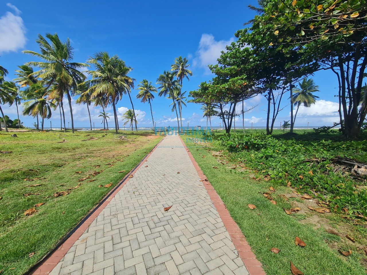 Terreno, 1000 m² - Foto 7