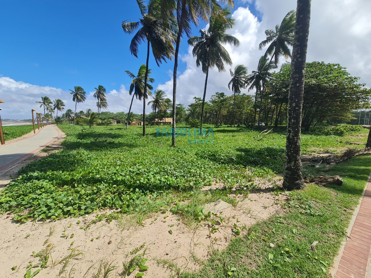 Terreno, 1000 m² - Foto 10