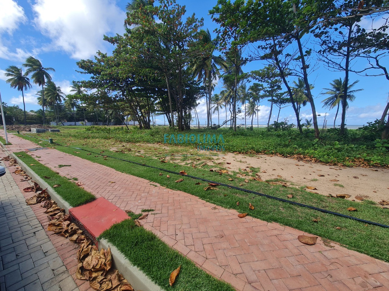 Terreno, 1000 m² - Foto 6