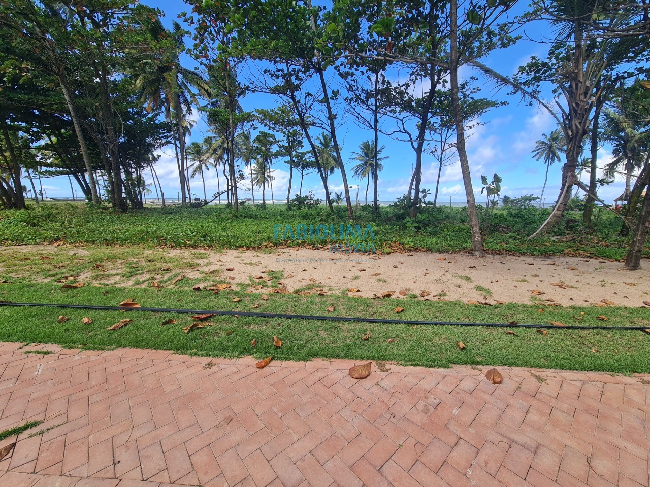 Terreno, 1000 m² - Foto 4