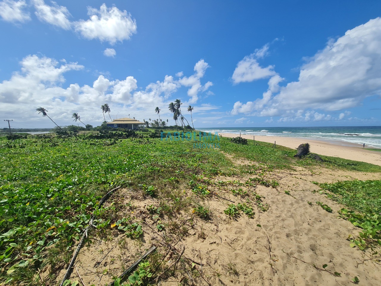 Terreno, 2000 m² - Foto 6