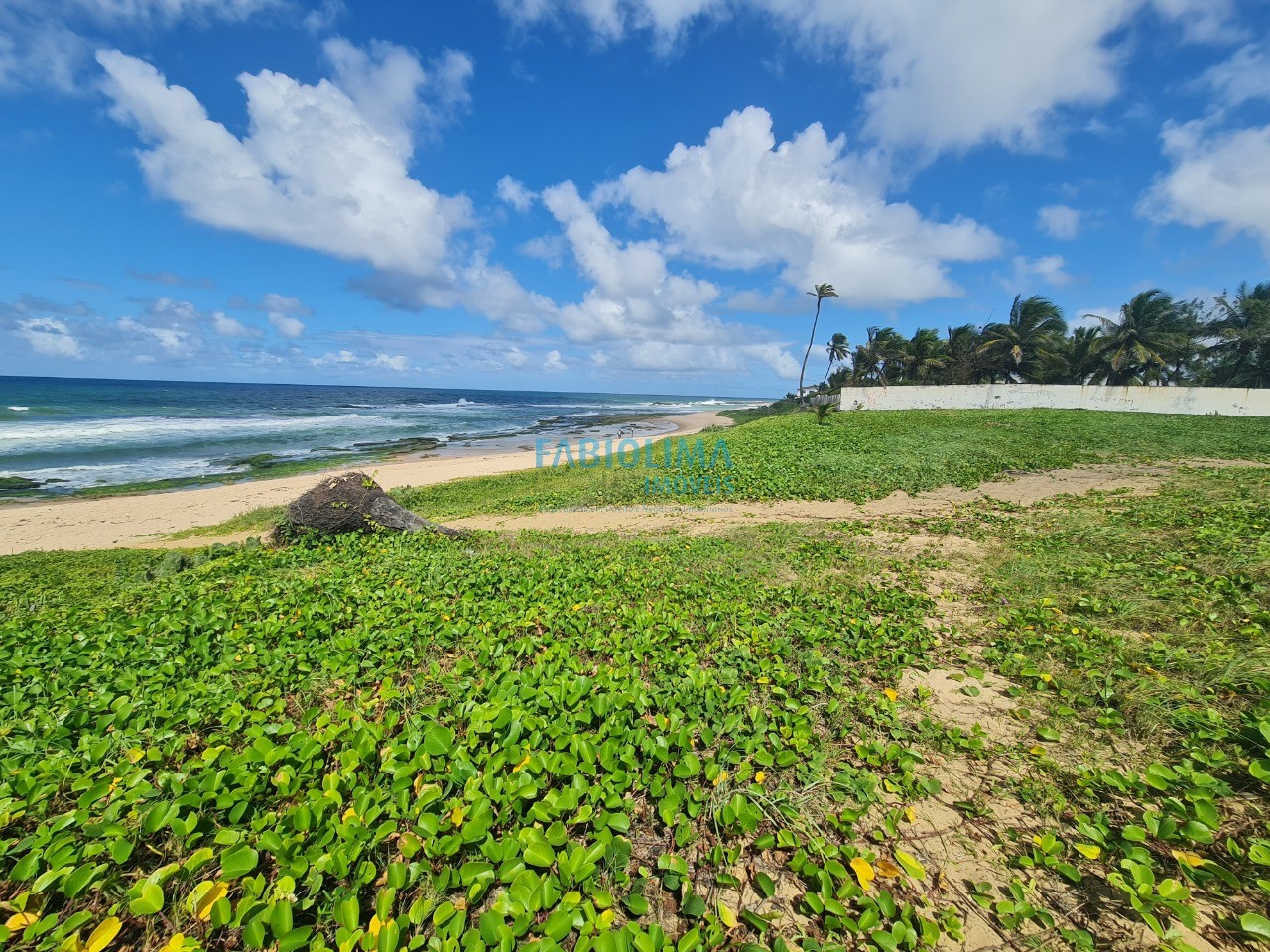 Terreno, 2000 m² - Foto 4