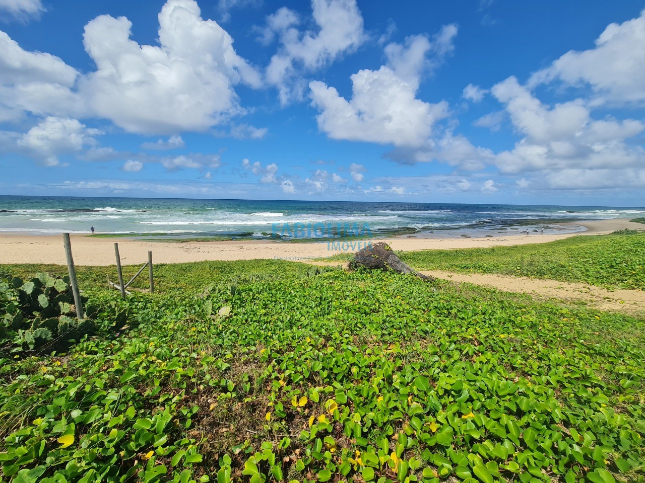 Terreno, 2000 m² - Foto 3