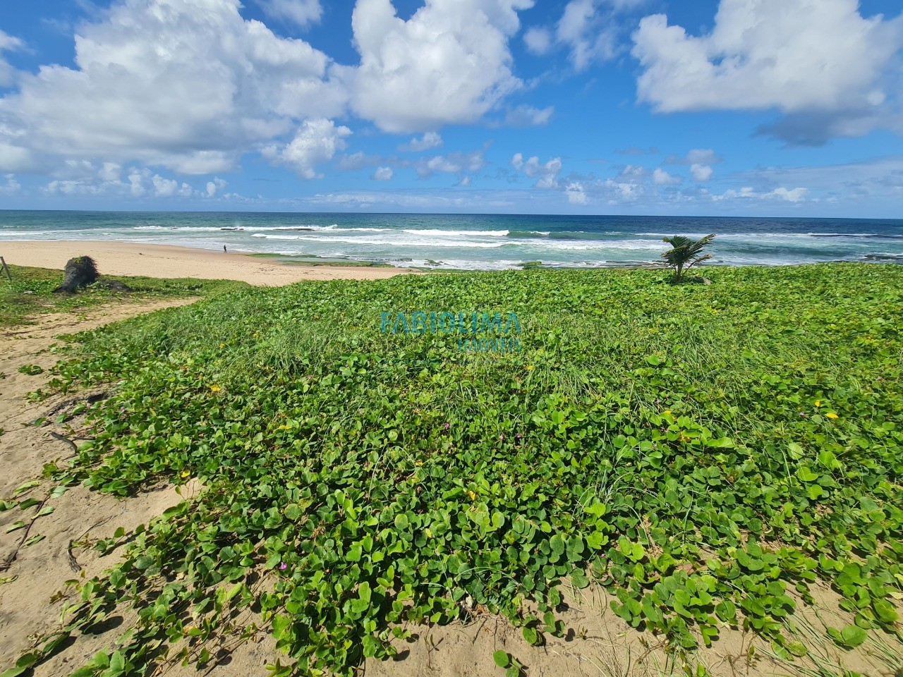 Terreno, 2000 m² - Foto 7