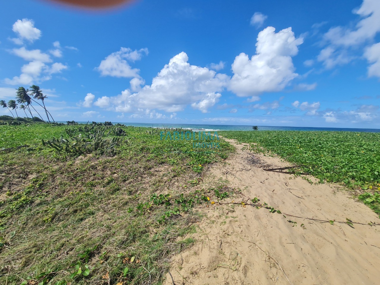 Terreno, 2000 m² - Foto 10