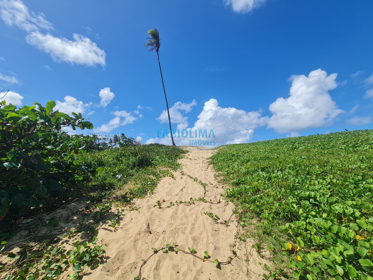 Terreno, 2000 m² - Foto 11