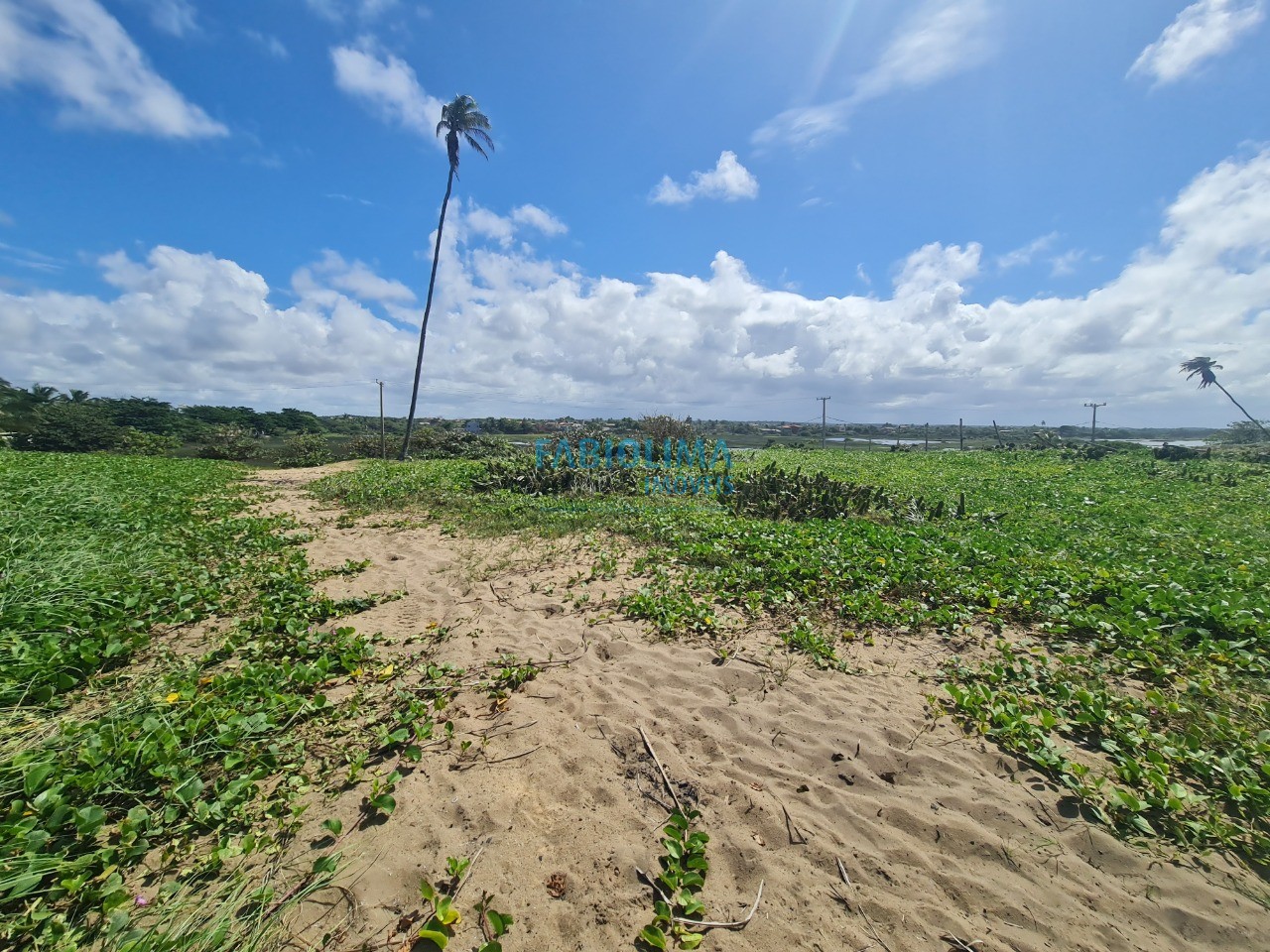 Terreno, 2000 m² - Foto 8