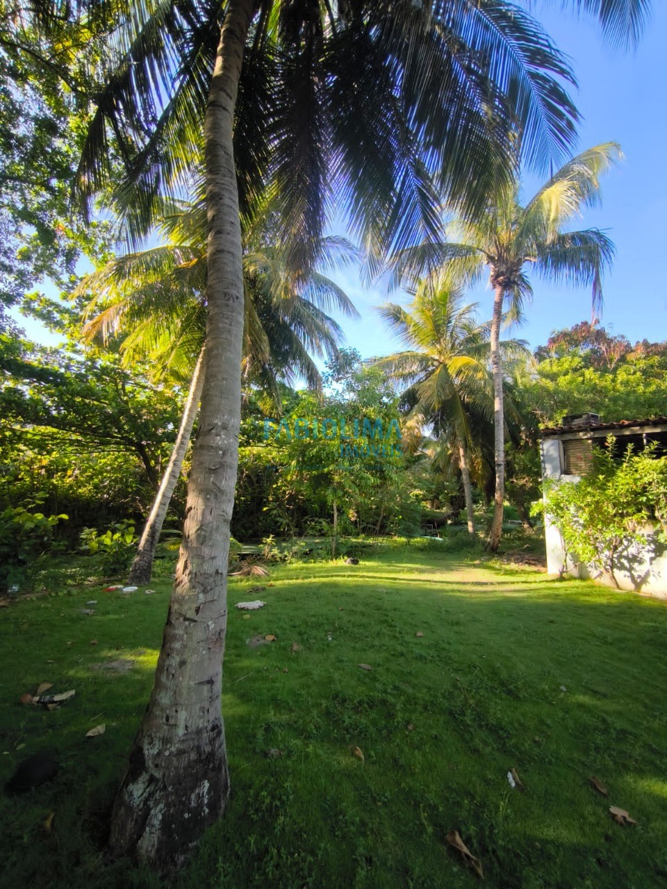 Casa, 5 quartos, 410 m² - Foto 3