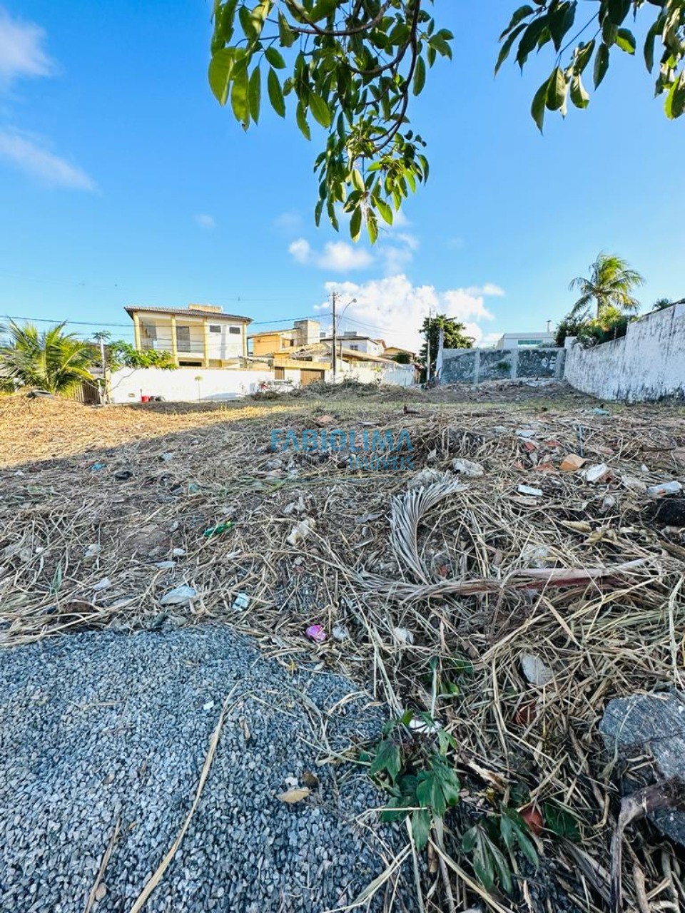 Terreno, 499 m² - Foto 3