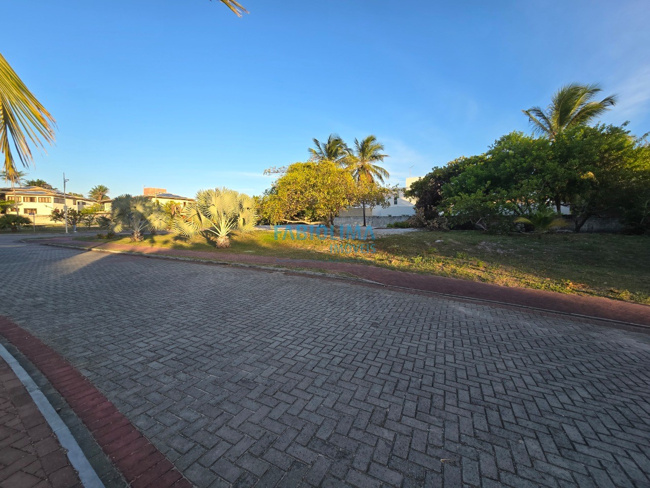 Terreno, 976 m² - Foto 4