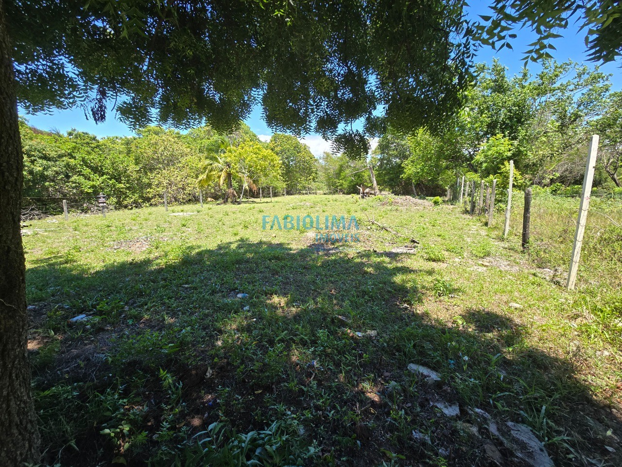 Terreno, 800 m² - Foto 3