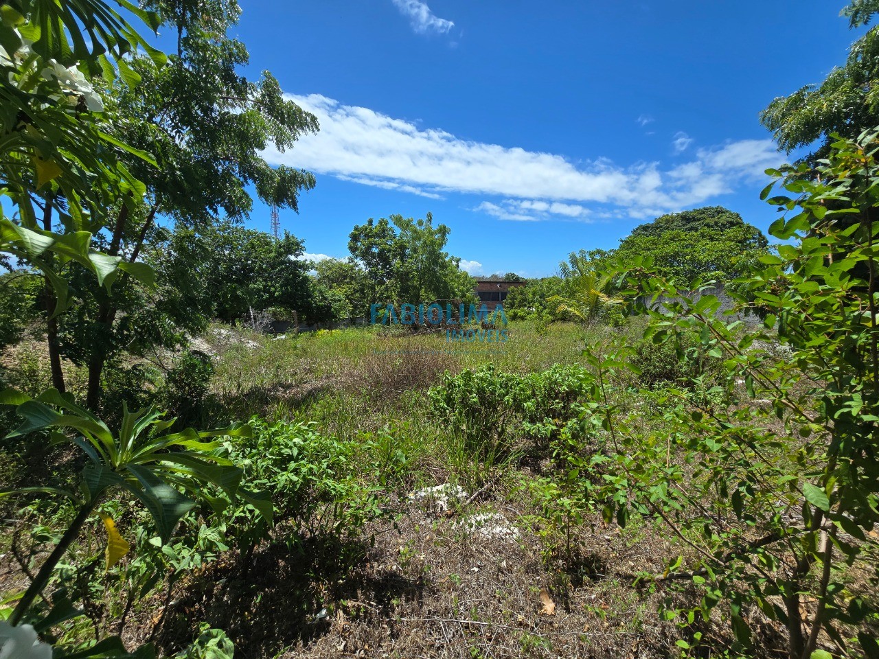 Terreno, 1000 m² - Foto 5