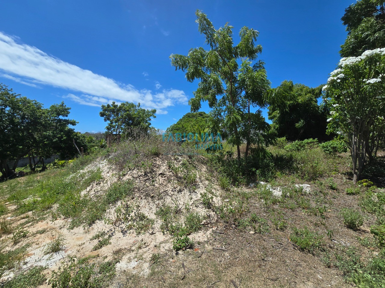 Terreno, 1000 m² - Foto 4