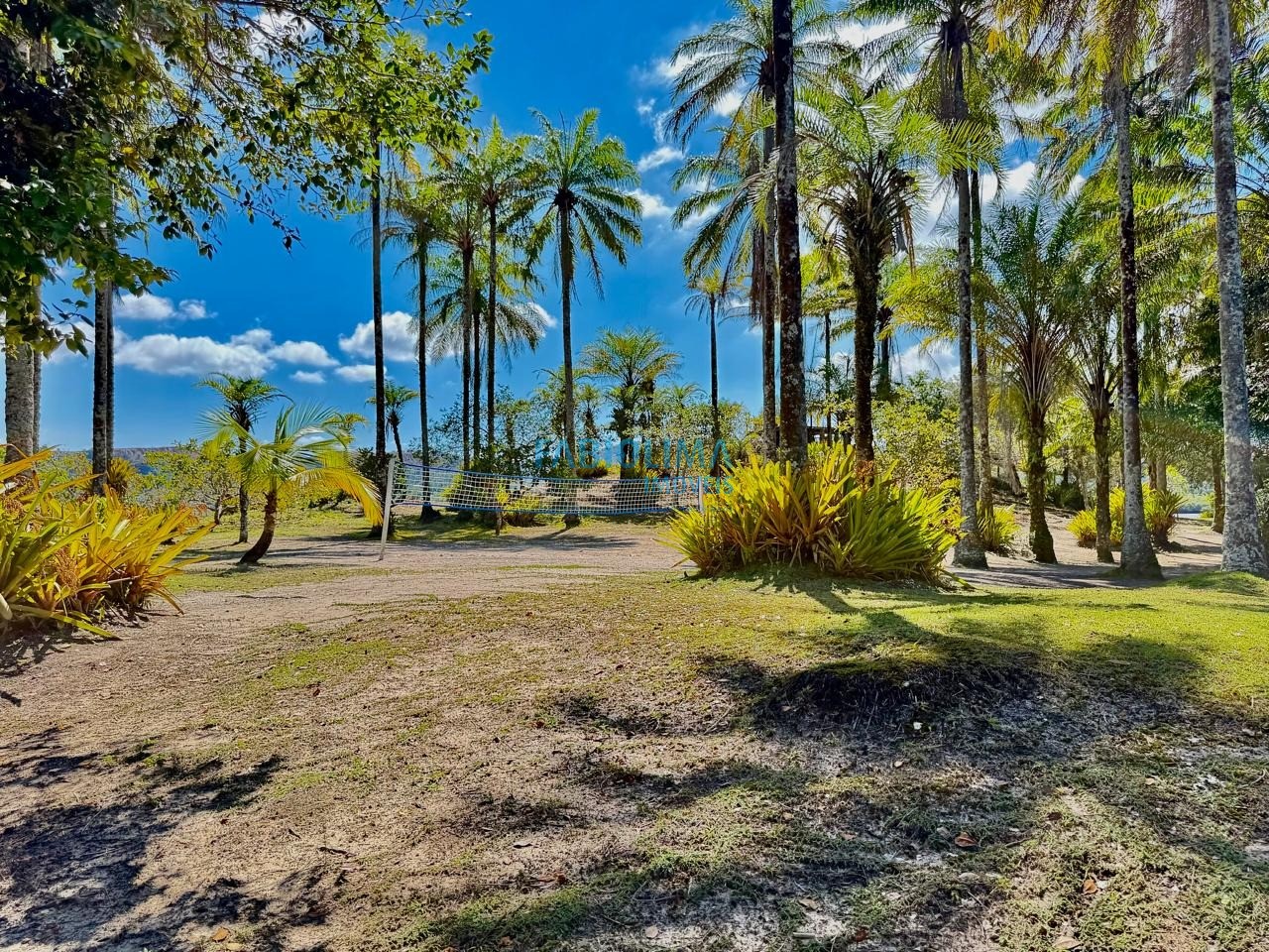 Terreno, 60000 m² - Foto 24
