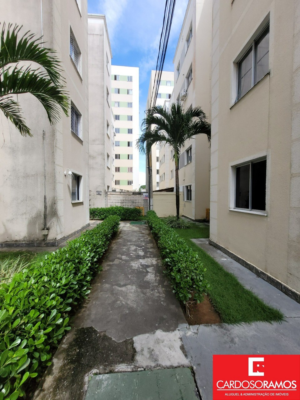 Apartamento - Centro