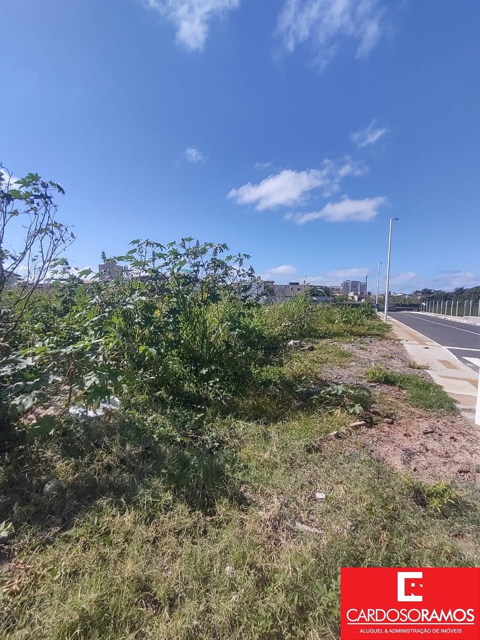 Terreno, 3850 m² - Foto 12