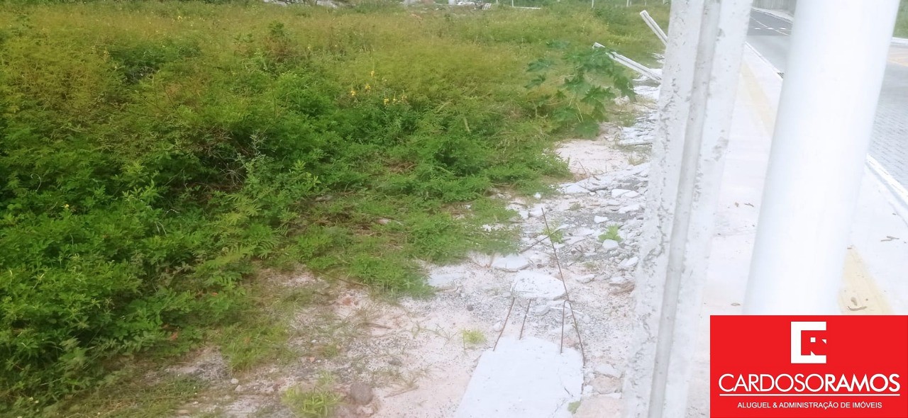 Terreno, 3850 m² - Foto 7