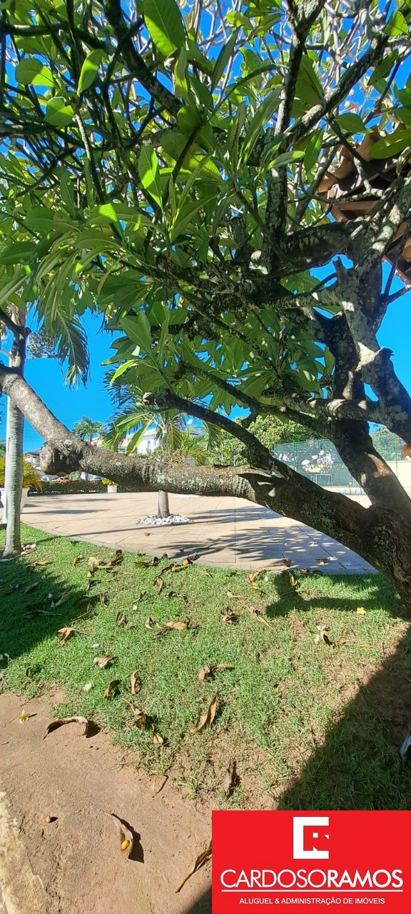 Casa, 3 quartos - Foto 34