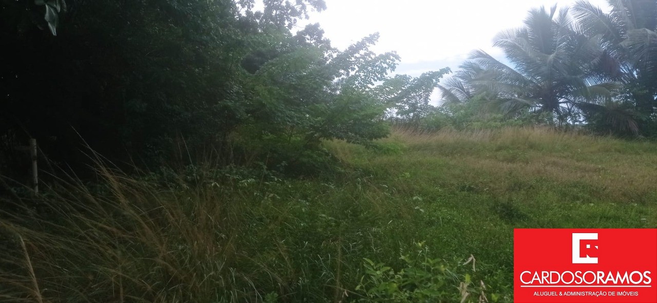 Terreno, 18000 m² - Foto 3