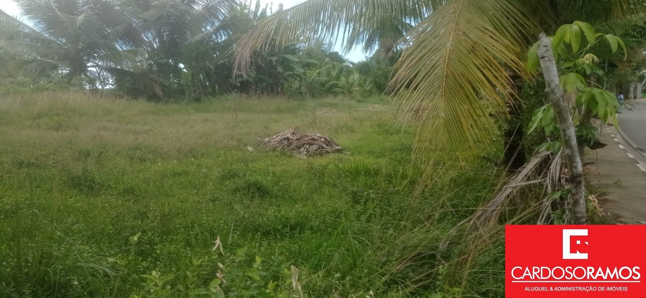 Terreno, 18000 m² - Foto 4