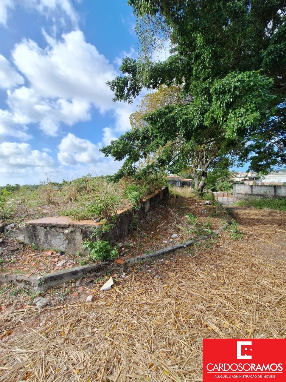 Terreno, 2300 m² - Foto 8