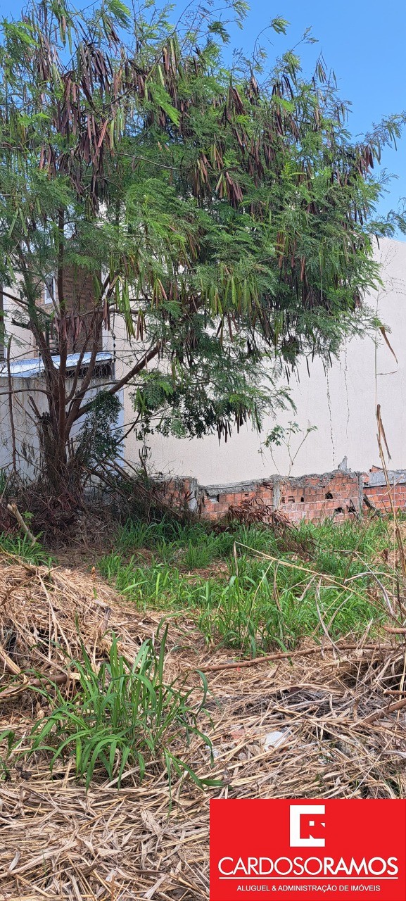 Terreno, 577 m² - Foto 2