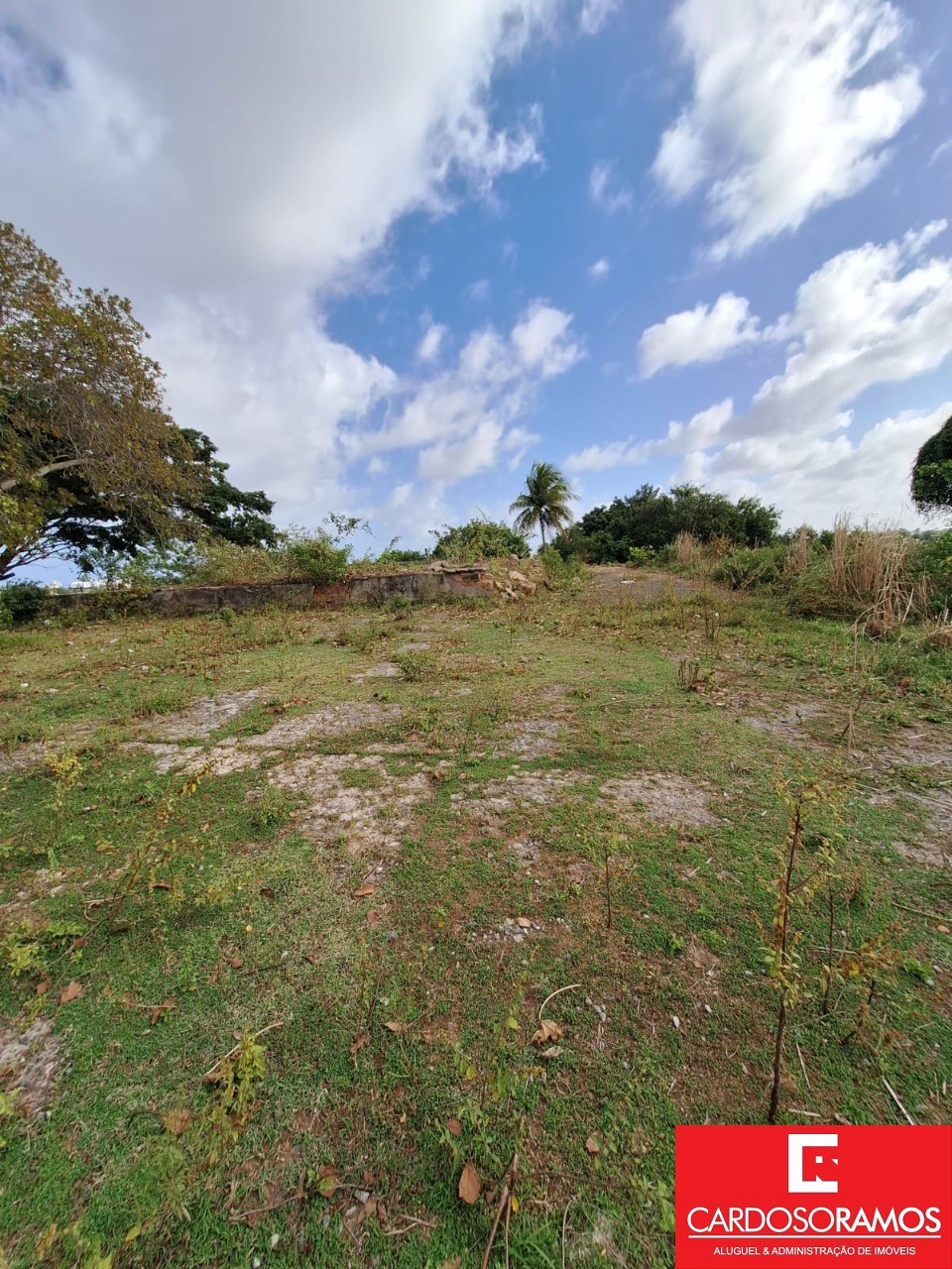 Terreno, 2300 m² - Foto 3