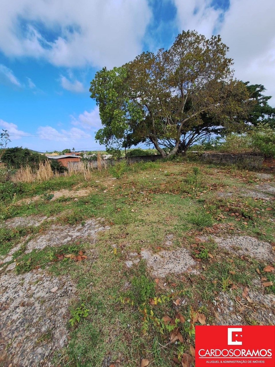 Terreno, 2300 m² - Foto 2