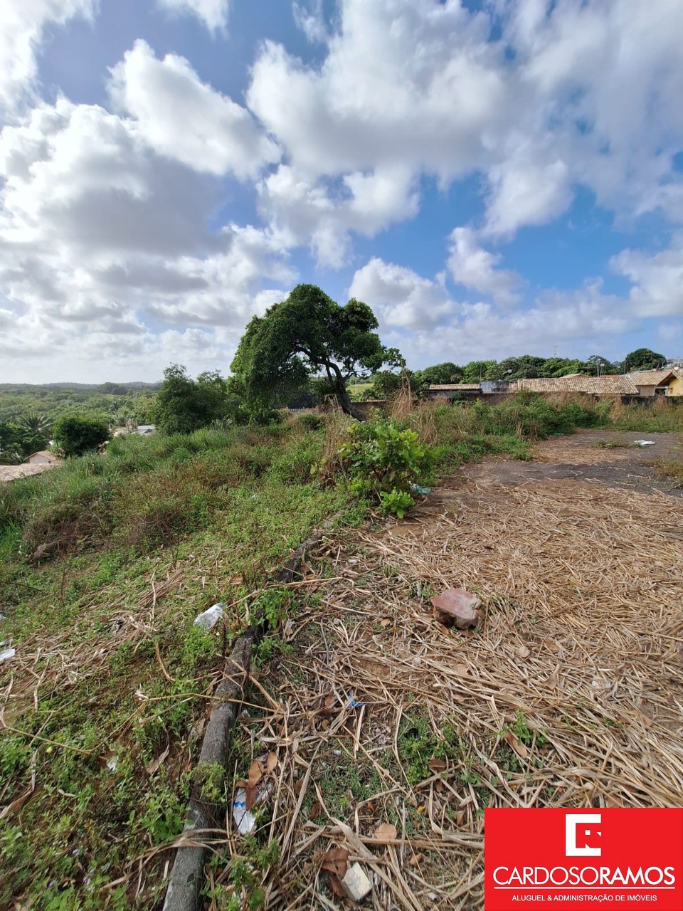 Terreno, 2300 m² - Foto 12