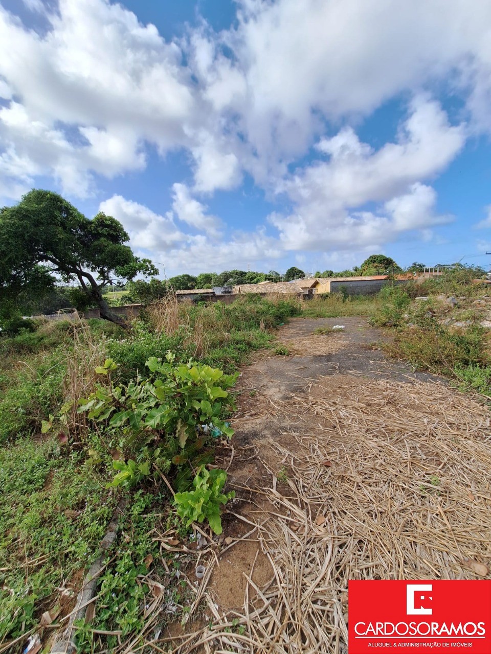 Terreno, 2300 m² - Foto 7