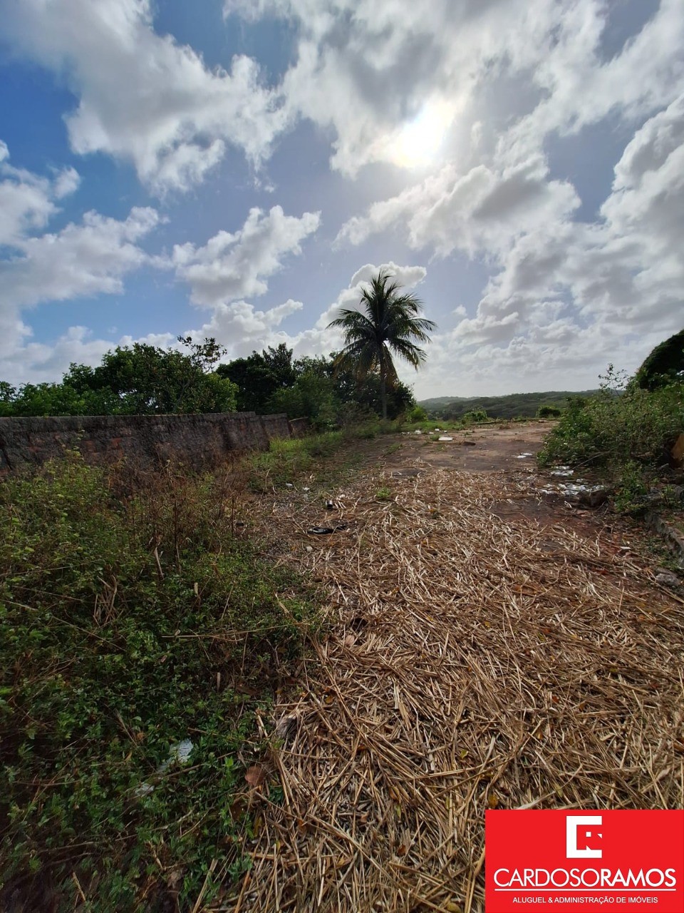 Terreno, 2300 m² - Foto 10