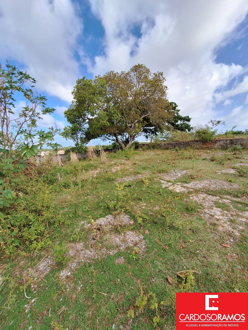 Terreno, 2300 m² - Foto 1