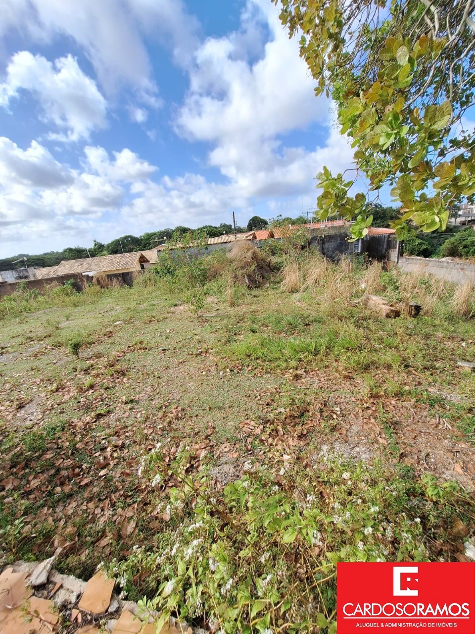 Terreno, 2300 m² - Foto 6