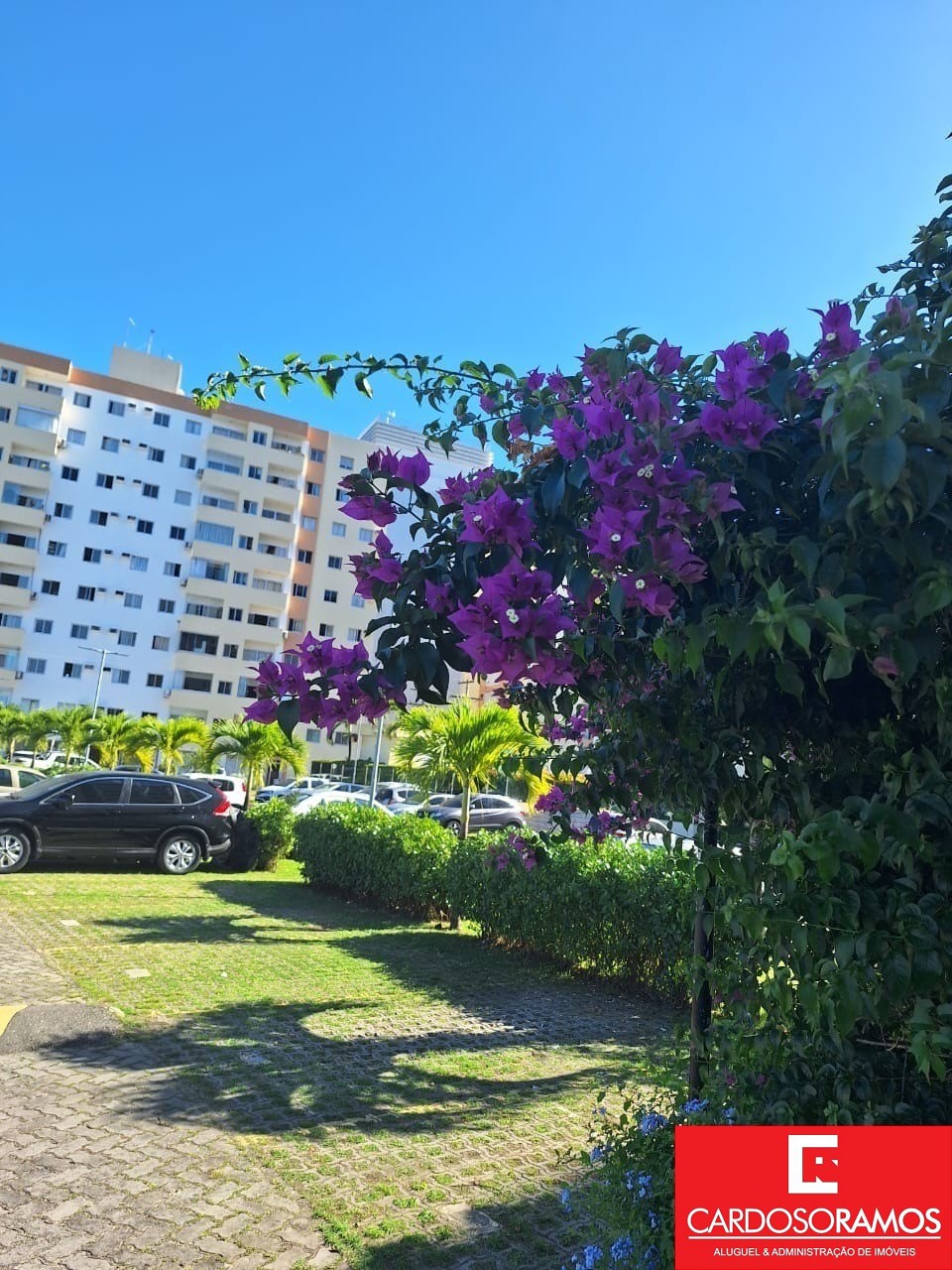 Apartamento - Estrada do côco