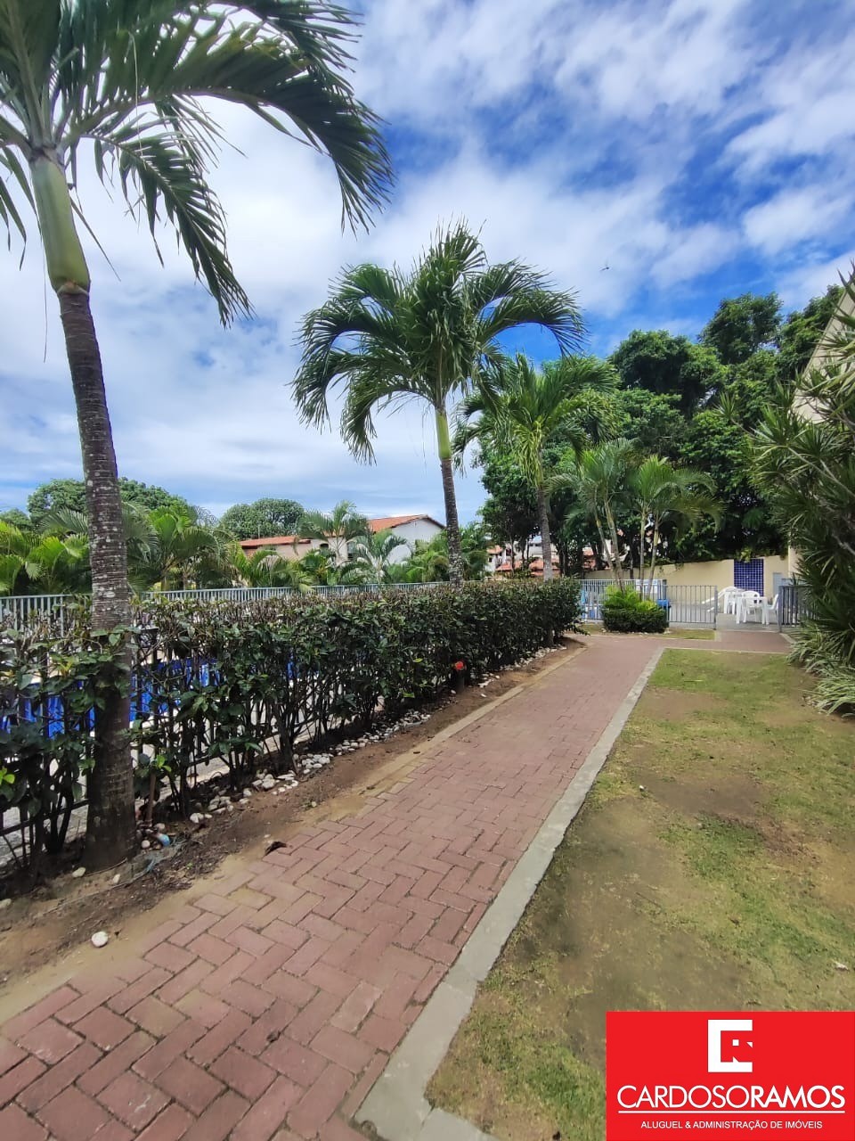 Apartamento - Centro