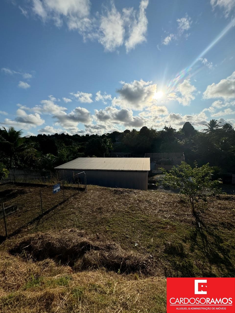 Depósito-Galpão - Foto 15