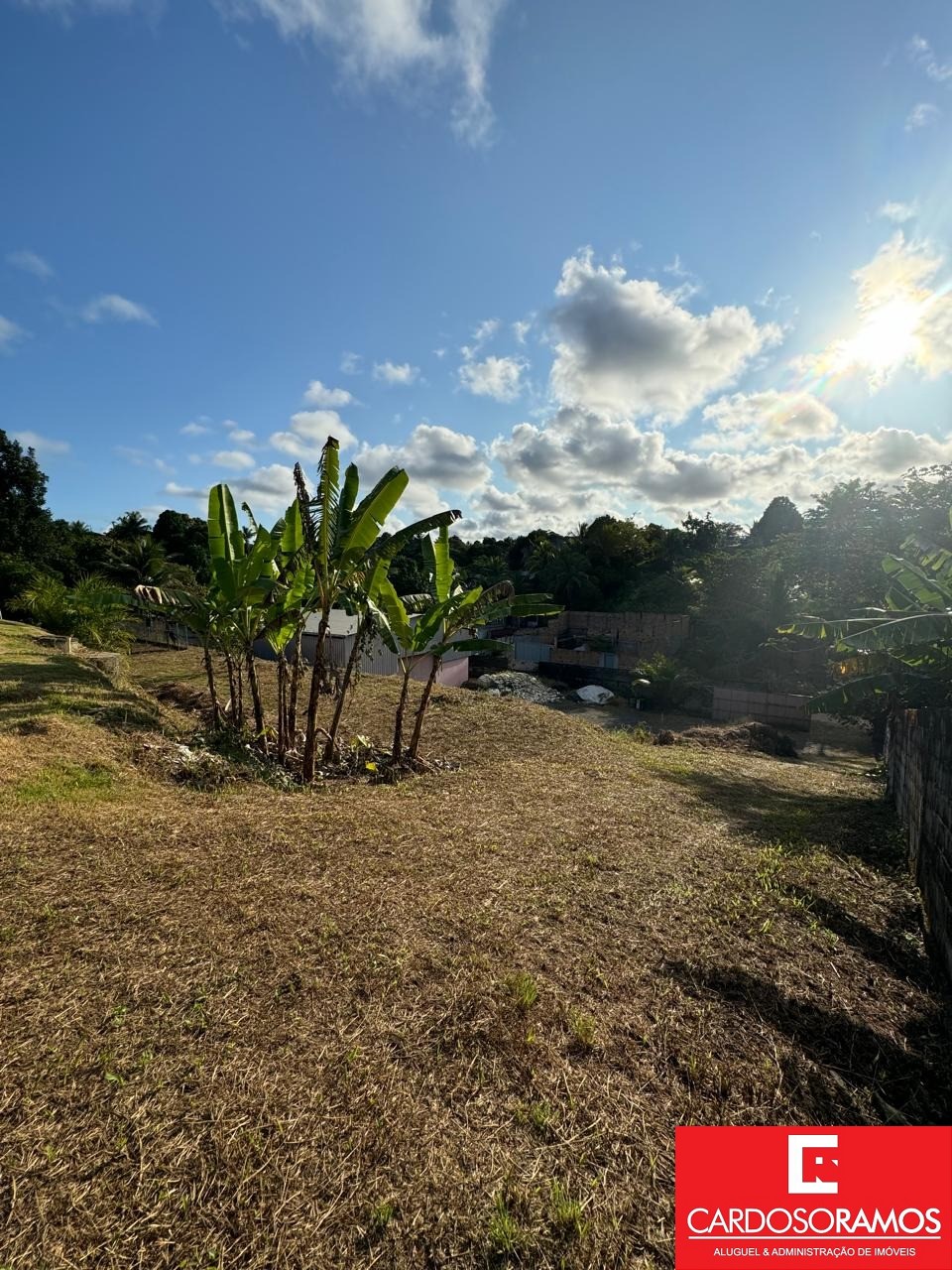 Depósito-Galpão - Foto 14