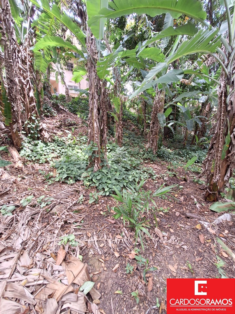 Terreno, 7100 m² - Foto 11