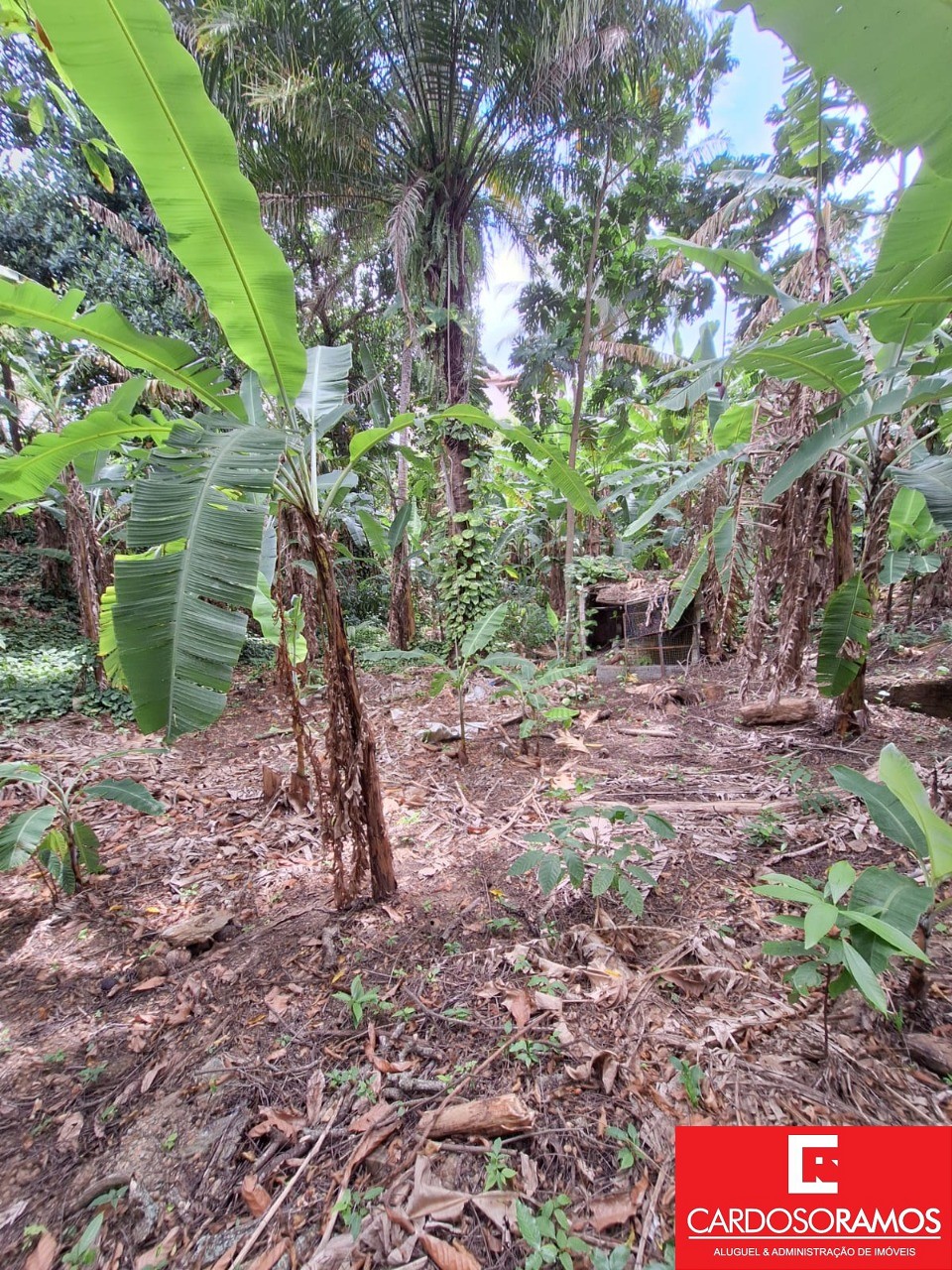 Terreno, 7100 m² - Foto 8