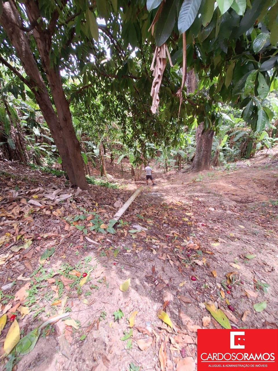 Terreno, 7100 m² - Foto 6