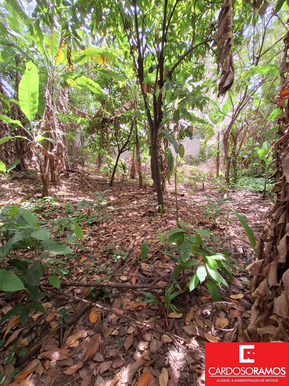 Terreno, 7100 m² - Foto 14